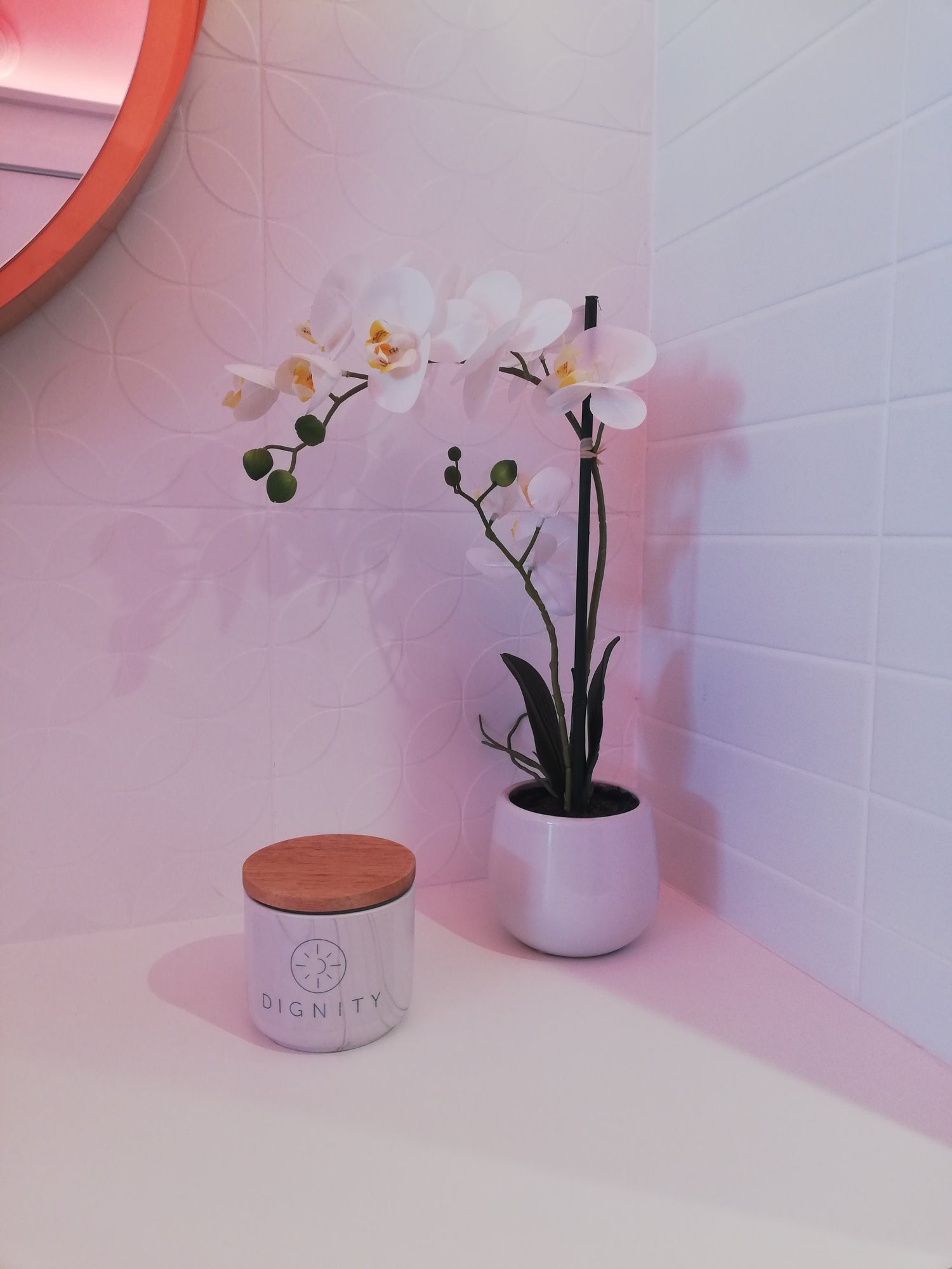 A chat with Dignity co-founders: Why we do it and where we started