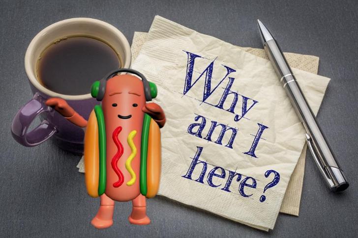 A cheeky Q&A with Dignity co-founders