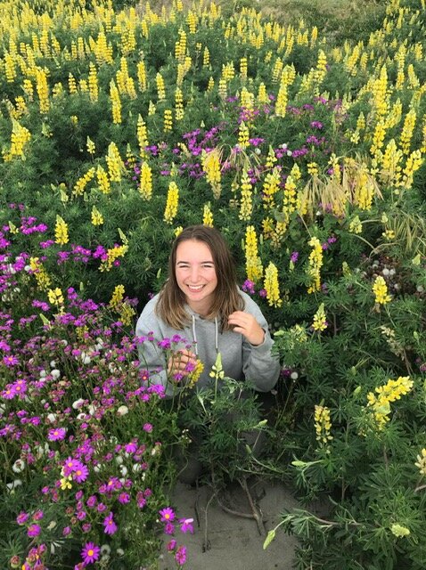 Staff blog interview: Operations/Donations Manager Sophie