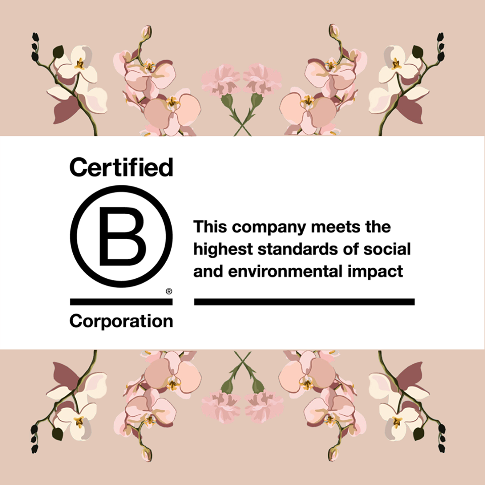 Dignity - What it means to be B Corp certified